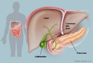 Picture gallbladder from Webmd.com